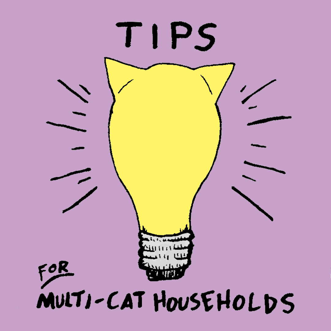 Tips for Multi-Cat Households